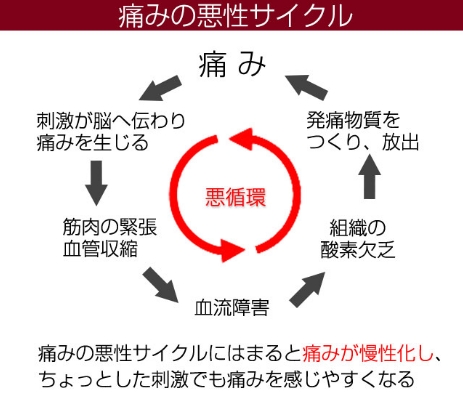 専門医に聞いてみました せぼねお悩みドットコム